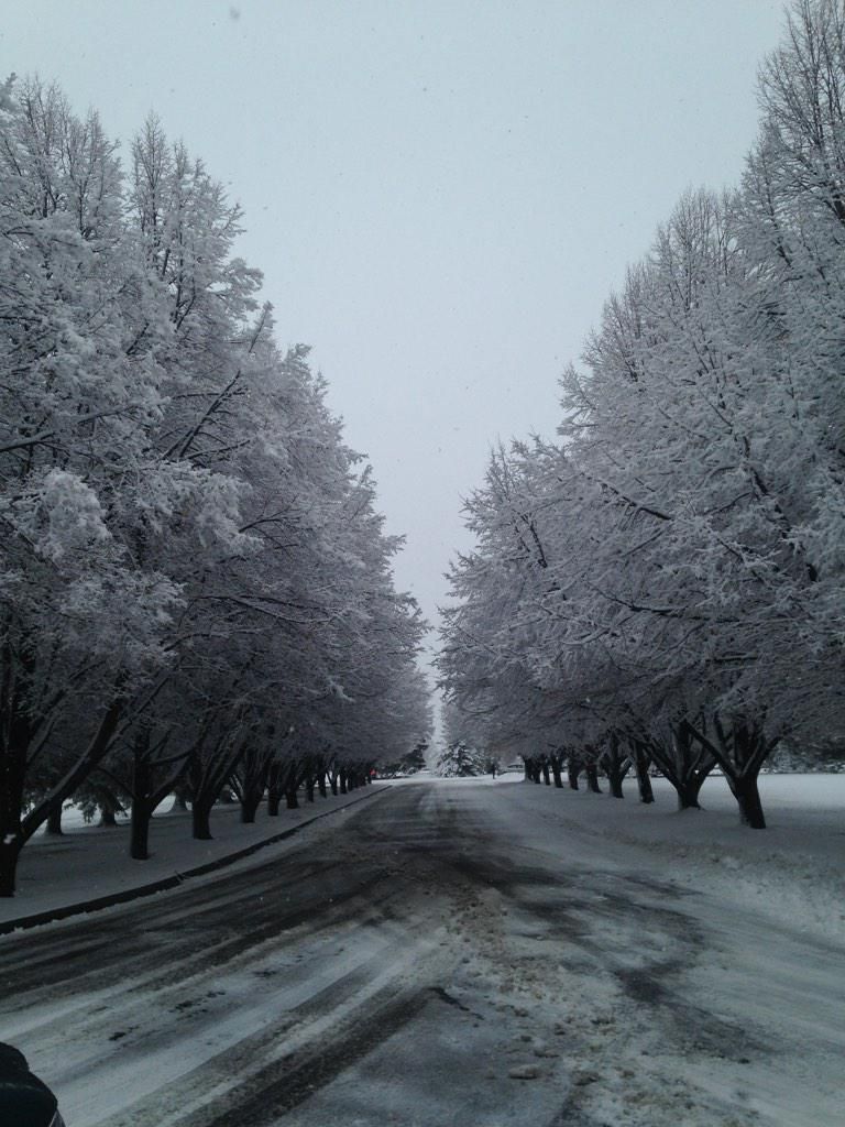 Snow